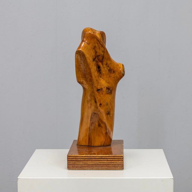 Abstract Organic Wood Sculpture by H. Hinfelaar, Netherlands, 1980s For Sale - Image 3 of 11