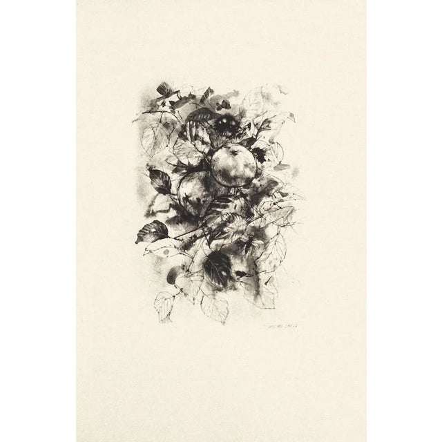 Fruit is a black and white etching realized by the French artist Michel Ciry in 1964. Signed and dated on the lower right....