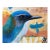 “Jays Make My Days 2” Bird Art LWren Walraven For Sale