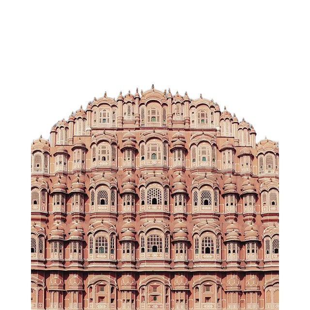 Coral Dream by Trunk Archive, Unframed Art Print, 32x48 For Sale