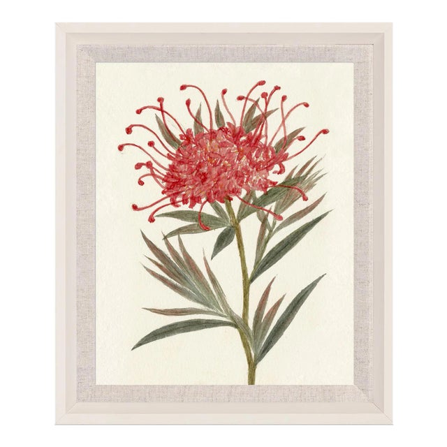 Hubbard Flower, Small: 4073 Artwork, Framed Artwork For Sale