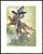 1963 Dalí Divine Comedy Engraving Purgatoire Chant 8 "Les Gardiens De La Vallée Des Princes" (The Guardians of the Valley of Princes) For Sale