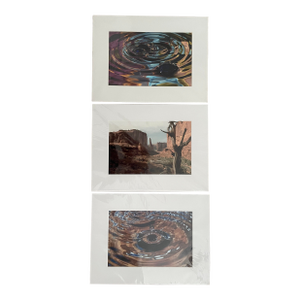 Lot of 3 New Orginal Color Matted Unique Photographs Signed by Robin Rebeck