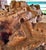 Exceptional Early 20th Century Olivewood Root Architectural Sculpture of Ancient Jerusalem For Sale - Image 12 of 18
