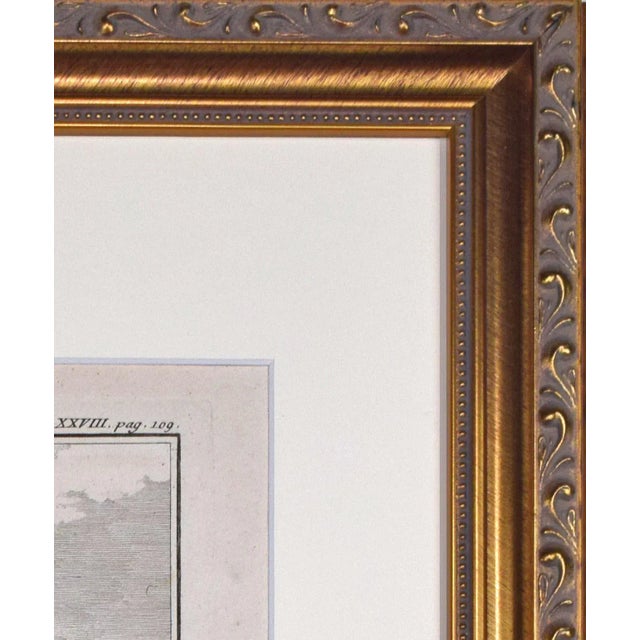 Printmaking Materials 18th Century Original French Monkey Engraving by Buffon 1789 For Sale - Image 7 of 8