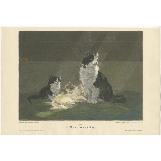 Cat Prints, 1898, Paper, Set of 6 For Sale - Image 3 of 11