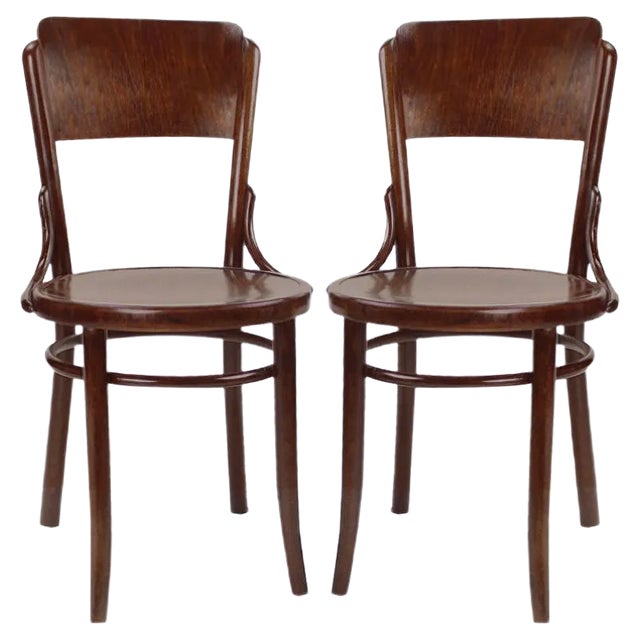 Vintage Bentwood Design Chair from Tatra, Czechoslovakia, 1950s For Sale