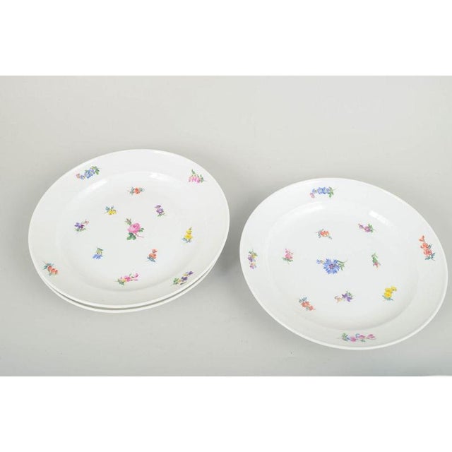 Early 20th Century Dinner Plates in Porcelain with Floral Motifs from Meissen, Set of 6 For Sale - Image 3 of 6