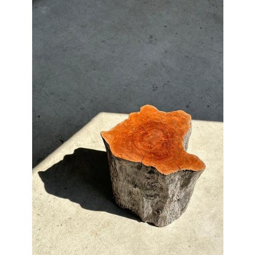 Set of Lychee Stools Forming a Coffee Table For Sale - Image 6 of 18