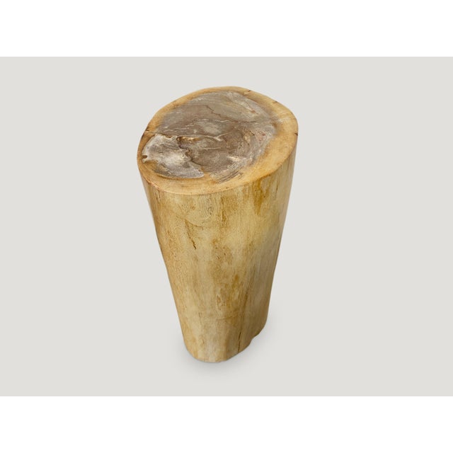 Andrianna Shamaris Minimalist Column Style Petrified Wood Side Table For Sale - Image 4 of 5