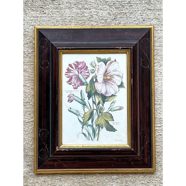 Vintage Chelsea House Botanical Floral Print in Wood Frame For Sale - Image 11 of 12