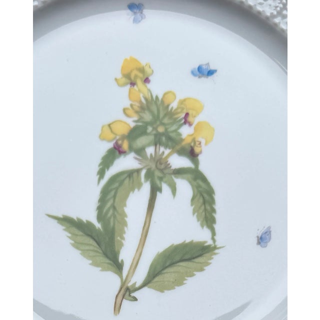 Nymphenburg Porcelain Four Nymphenburg Porcelain Botanical Plates For Sale - Image 4 of 11