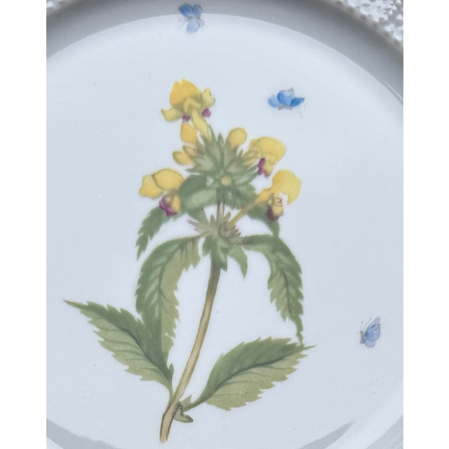 Nymphenburg Porcelain Vintage Nymphenburg Porcelain Botanical Plates – Set of Four For Sale - Image 4 of 11