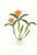 Large 1973 Orchid Flower Lithograph "Epidendrum Aurantiacum" (Orange Epidendrum) After James Bateman For Sale