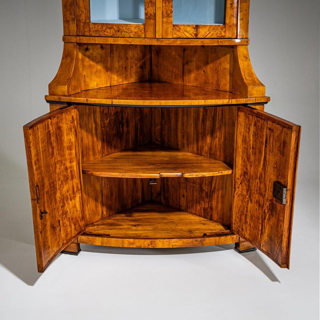 Wood Biedermeier Corner Cabinet, 1820 For Sale - Image 7 of 10