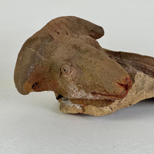 Early 20th Century Vintage Broken Off & Salvaged Terracotta Head of a Ram, Sculptural Decor For Sale - Image 5 of 9