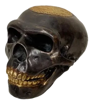 Contemporary Tibetan Bronze Skull