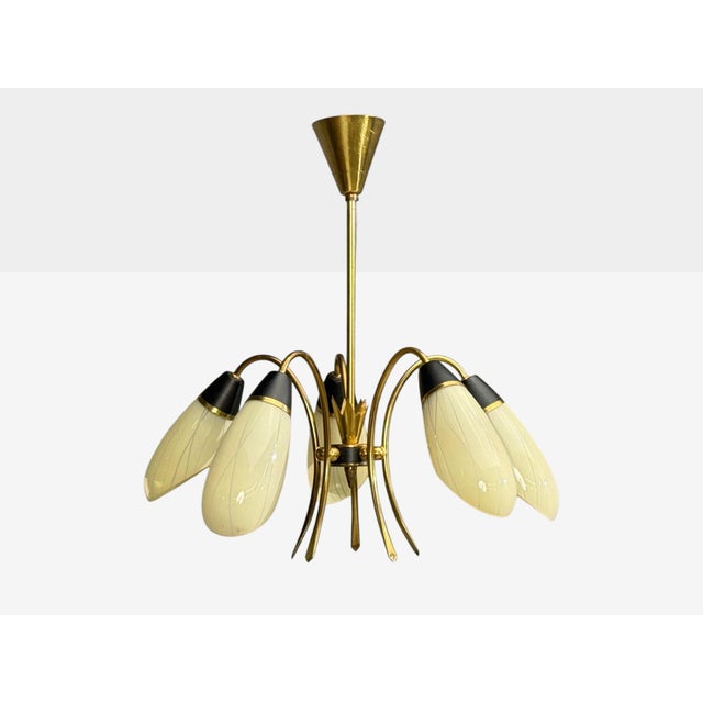 1950s 1950s Mid-Century Modern German Modern, Five-Light Chandelier, Brass, Metal, Glass For Sale - Image 5 of 13
