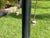 Vintage Stiffel Neoclassical Bronze Table Lamps, Pair For Sale - Image 12 of 12