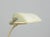 Model 6581 Table Lamp from Kaiser Idell, 1930s For Sale - Image 6 of 8