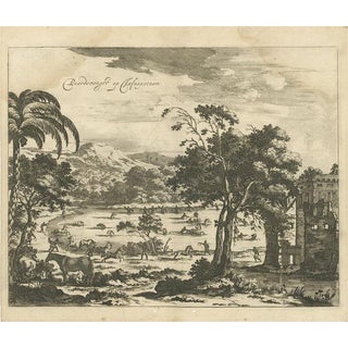 Philip Baldaeus, Illustration of Horse Catching in Ceylon/Sri Lanka, 1672, Print For Sale