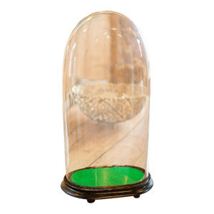 1900 Large Antique Oval Clock Dome