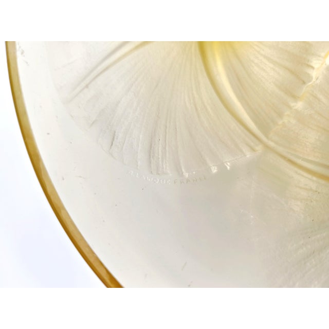 1920s Vintage Amber and Opalescent Glass Bowl by René Lalique, 1920s For Sale - Image 5 of 10