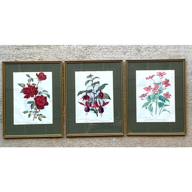 Wood Vintage Botanical Floral Prints in Gilt Frames - Set of 3 For Sale - Image 7 of 16