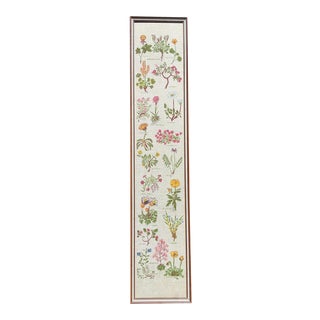 Vintage Botanical Framed Needlepoint Flower Chart Illustrations For Sale