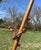 Brown Antique Oak Ball & Stick Easel: Victorian Eastlake Style For Sale - Image 8 of 10
