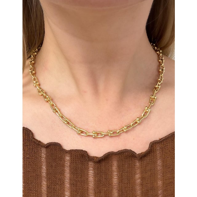 Metal Tiffany & Co. Hardwear 18k Yellow Gold Small Link Necklace For Sale - Image 7 of 9