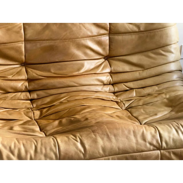 Togo 2-Seater Sofa Ligne Roset For Sale - Image 13 of 13