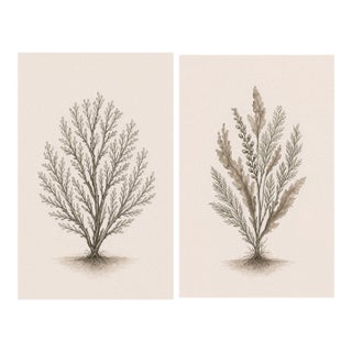 Structured Coastal Botanical Pair, Coral & Seaweed Studies, 24" × 36" Each For Sale