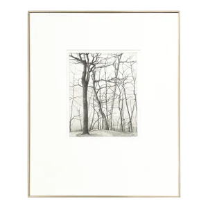 1970s “Crown Hill” Abstract Landscape Etching by Bryan Kay