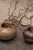 Brutalist Coffee Table with Fossil Stone Top, 1970s For Sale - Image 17 of 18