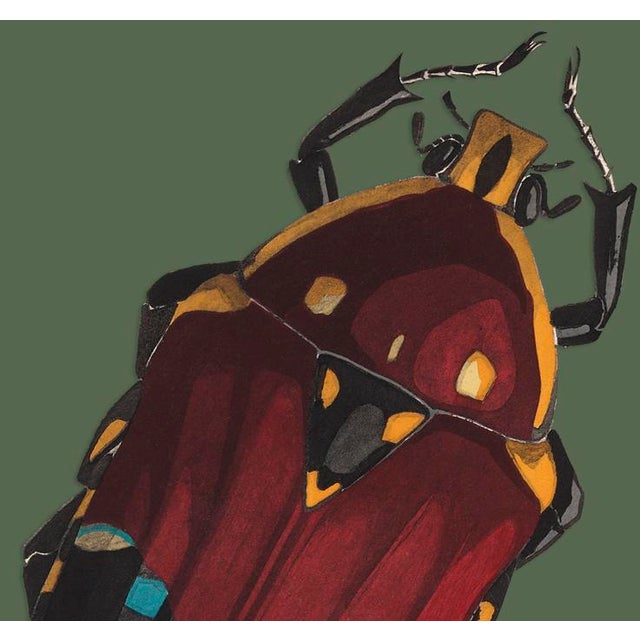 The series was produced by CFA editions from original pochior prints by E.A. Seguy. The series of insects that Seguy...