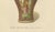 J. H. Thorpe, Worcester Porcelain Vases, 1910, Chromolithographs on Paper, Set of 2 For Sale - Image 10 of 11
