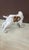 Vintage Cocker Spaniel figurine made of C. Martinu porcelain in the 1970s. It is crafted from glossy glazed porcelain in a...