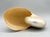 Off-white Large Natural Polished Nautilus Shell Specimen – Coastal / Organic Modern For Sale - Image 8 of 9
