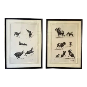 1994 Josechu Lalanda Original Wildlife Lithographs, Pair