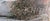 1950s Hand-Carved Shona Tribe Serpentine Stone Abstract Sculpture W. Sachiti For Sale - Image 12 of 12