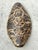 Vintage Italian Scagliola Artisan Pigmented Plaster Turtle Shell For Sale - Image 4 of 14