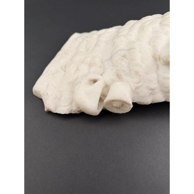 17th Century Marble Fragment Depicting a Lamb, Tuscany For Sale - Image 14 of 18