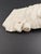 17th Century Marble Fragment Depicting a Lamb, Tuscany For Sale - Image 14 of 18