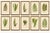Exotic Victorian Fern Lithograph Collection with English Species Names, 1856 A striking and highly decorative set of ten...