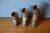 Scandinavian Wooden Candlesticks, Denmark, 1960s, Set of 3 For Sale - Image 4 of 6