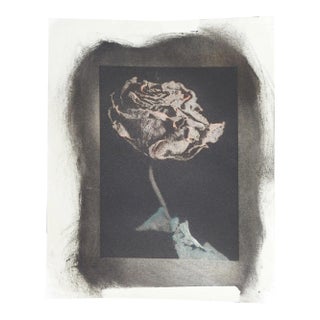 Vintage Cyanotype Hand Colored Rose Photograph For Sale