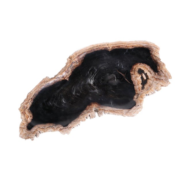 Hand Cut & Petrified Wood Board 3 For Sale In Greensboro - Image 6 of 8