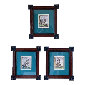 Early 19th Century Set of Three Historical Hand Colored Natural Etchings of Monkeys by Charles Baquoy in Designer Frames by Janis Aldridge - Set of 3
