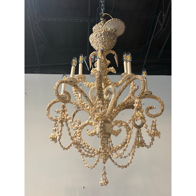 Vintage Coastal Shell Seashell Encrusted Coastal Palm Beach 12 Light Chandelier For Sale - Image 10 of 12